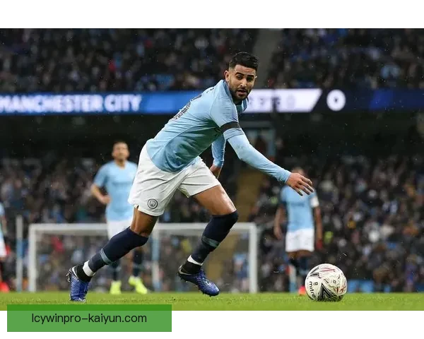 马赫雷斯战术适配性